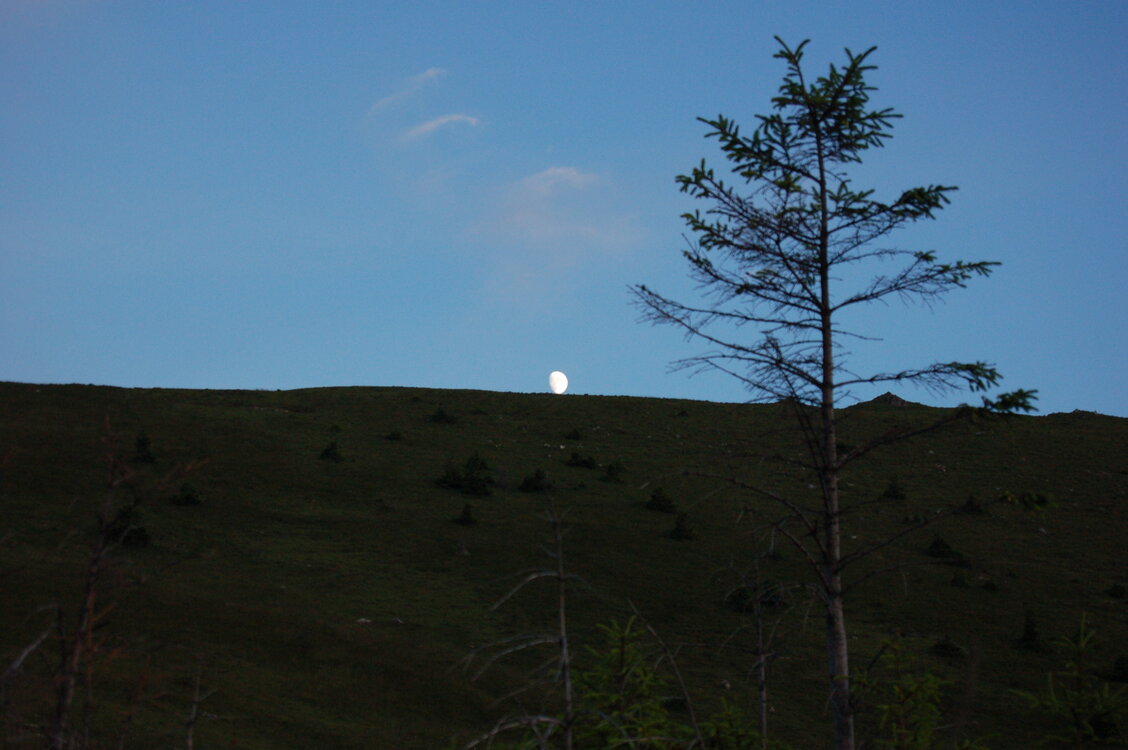 an1_015027.jpg