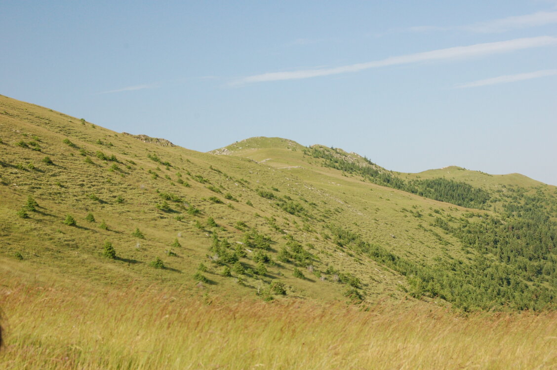 an1_015030.jpg