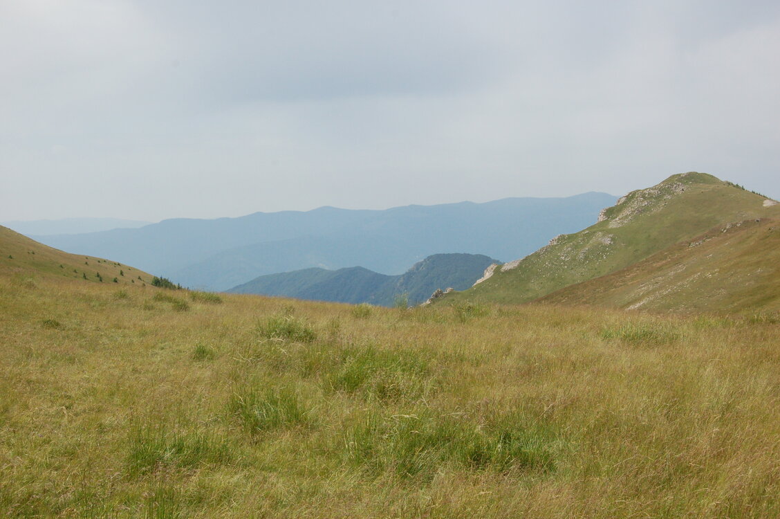 an1_015033.jpg