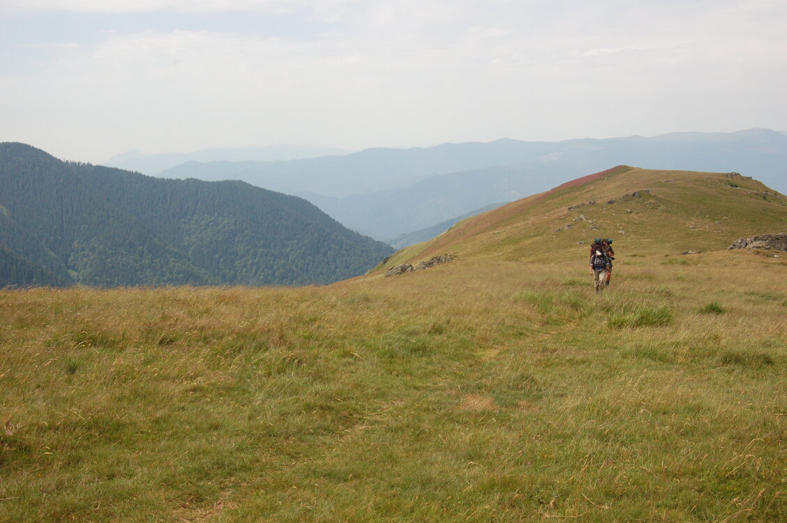 an1_015034.jpg