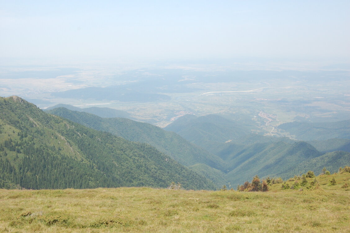 an1_015036.jpg