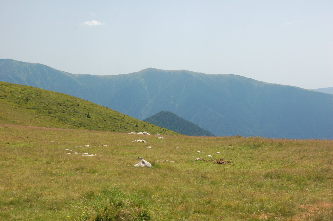 an1_015038.jpg