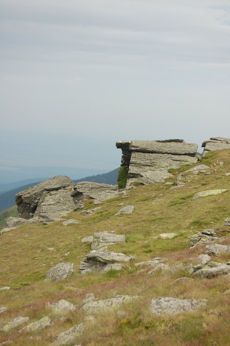 an1_015043.jpg