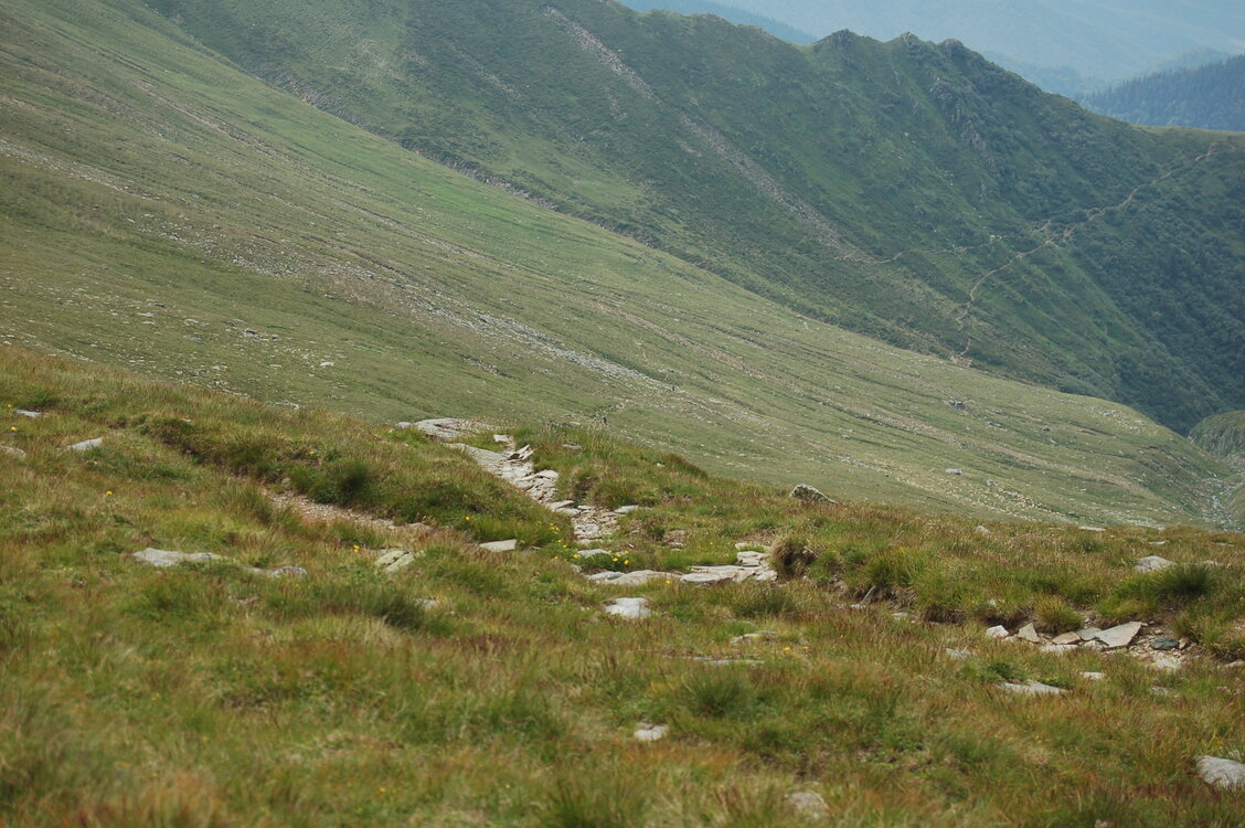 an1_015054.jpg