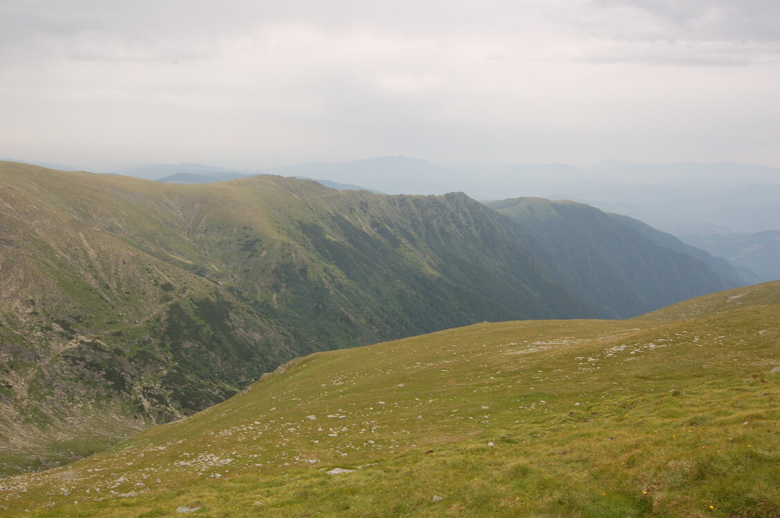 an1_015063.jpg