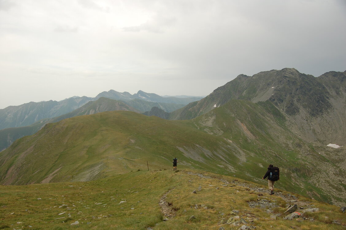 an1_015067.jpg