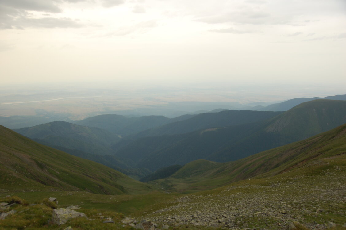 an1_015068.jpg
