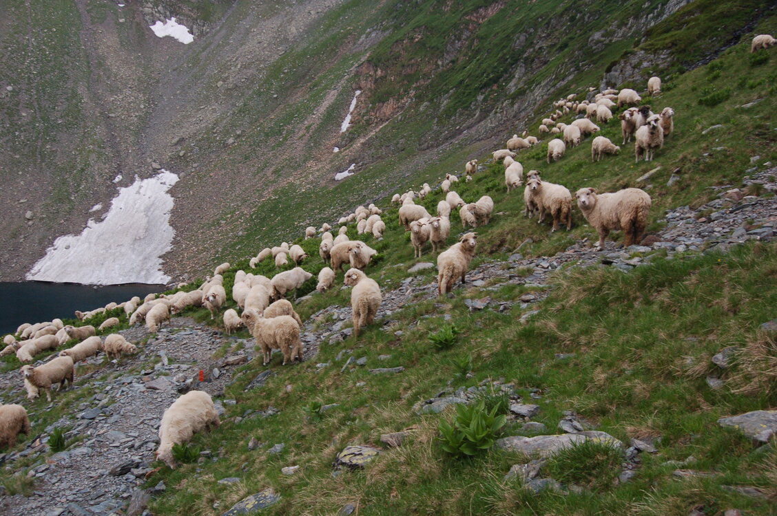 an1_015076.jpg