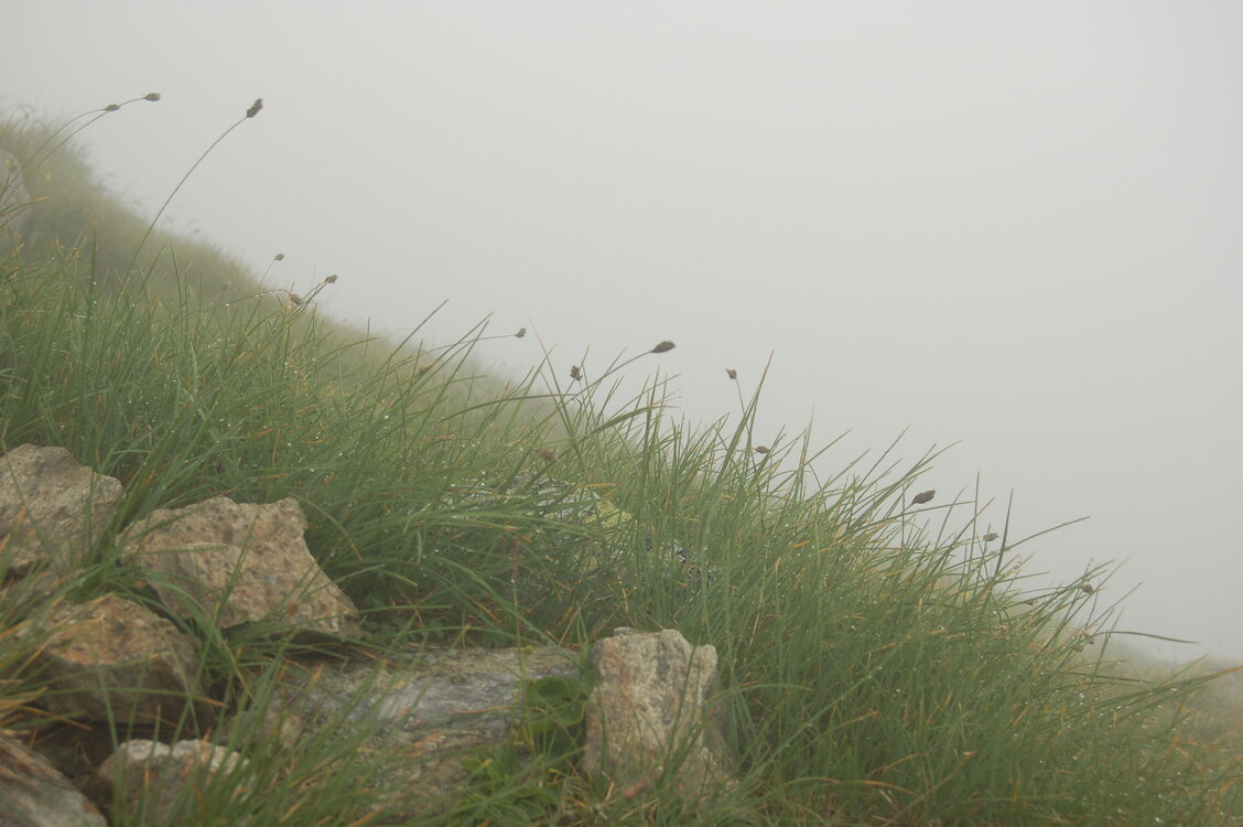 an1_015094.jpg