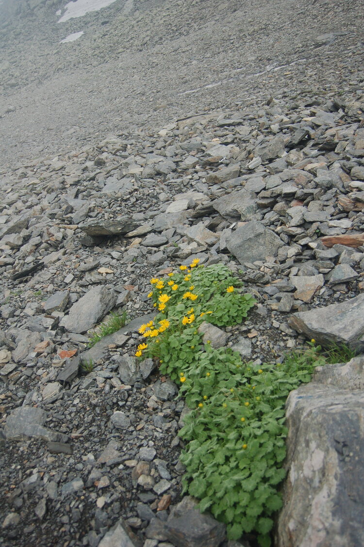 an1_015141.jpg