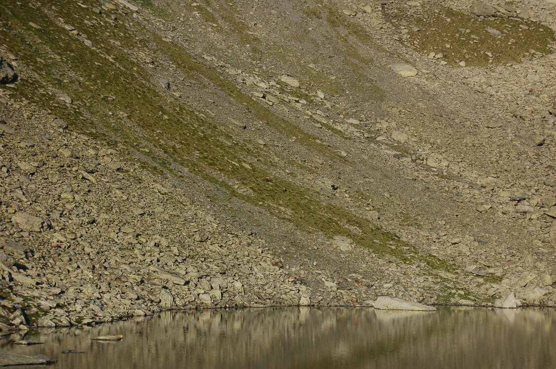 an1_015213.jpg