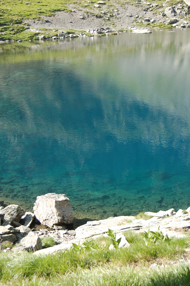 an1_015227.jpg