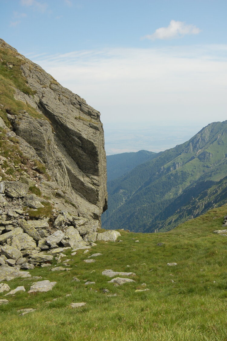 an1_015236.jpg