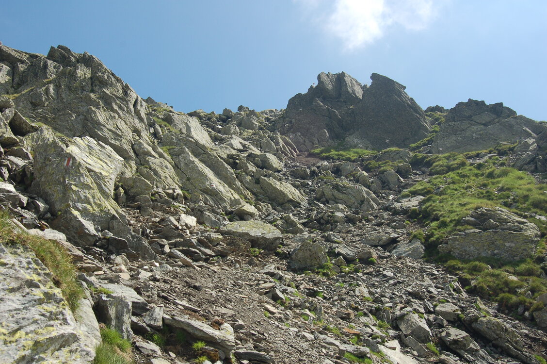 an1_015253.jpg