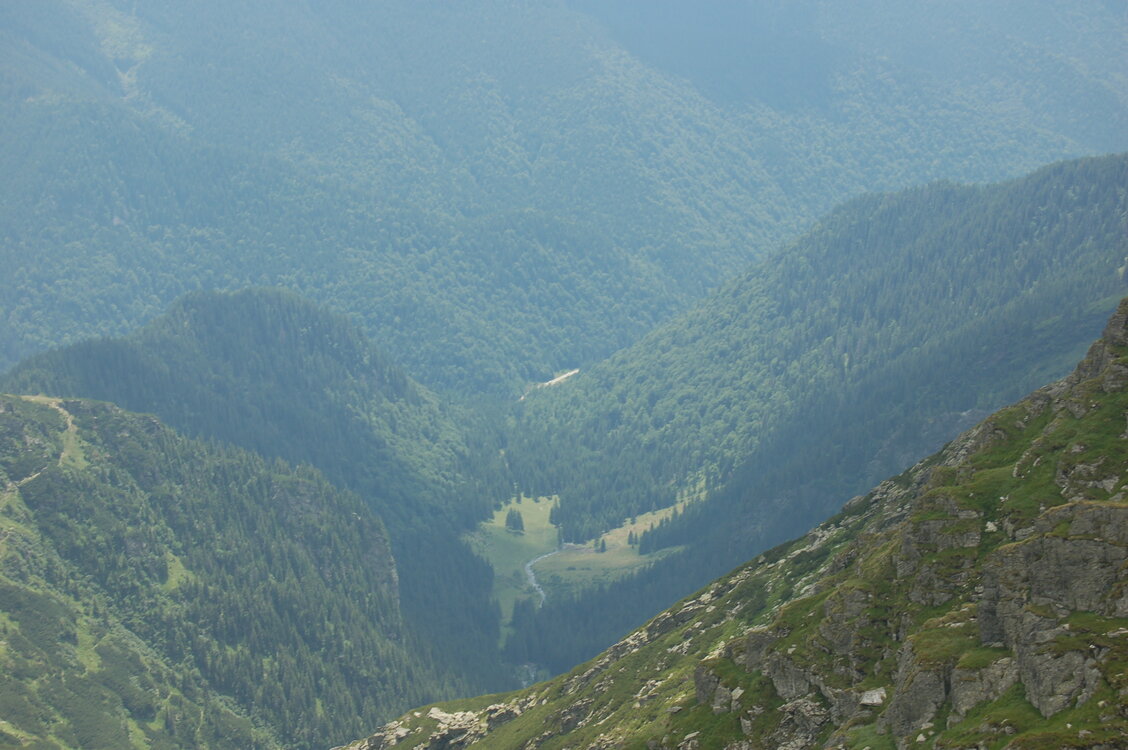 an1_015266.jpg