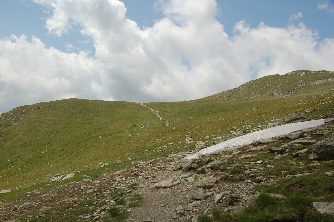 an1_015277.jpg