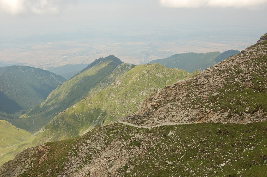 an1_015288.jpg