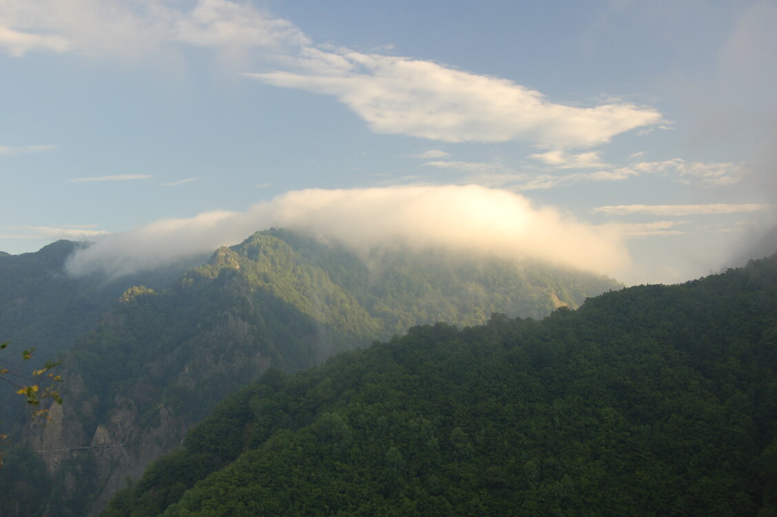 an1_015316.jpg