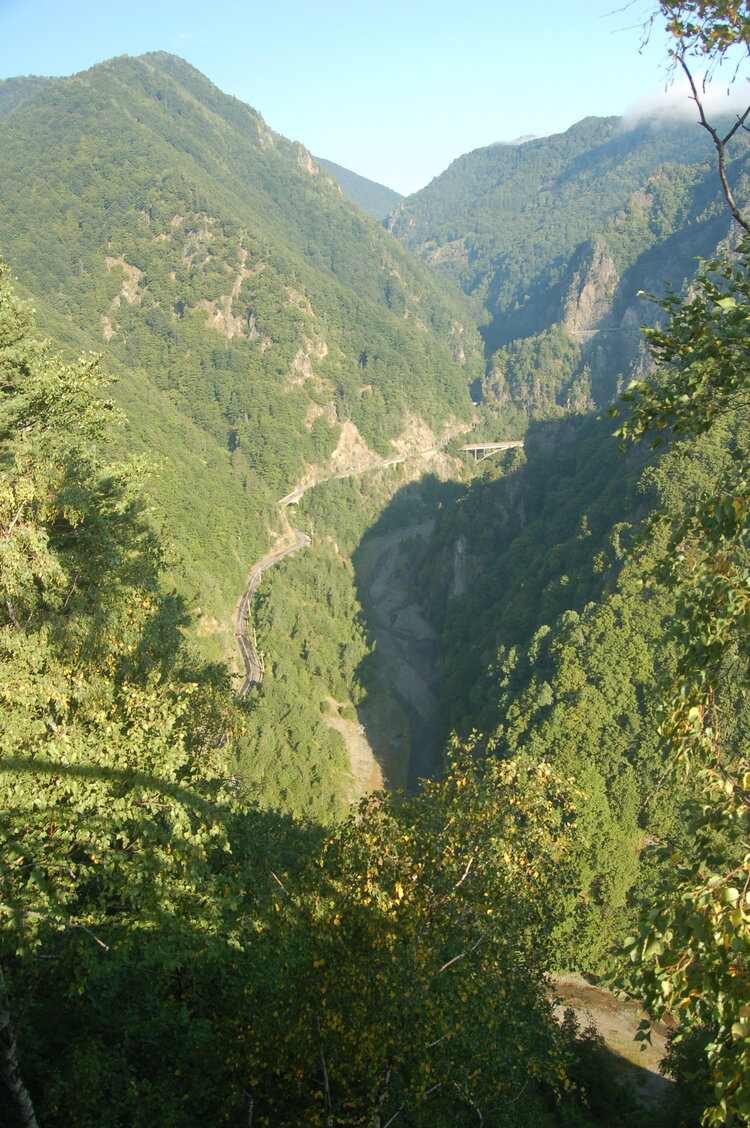 an1_015317.jpg