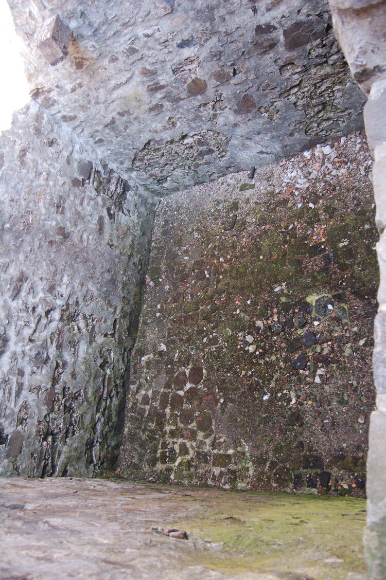 an1_015334.jpg