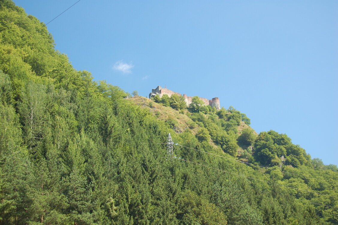 an1_015340.jpg
