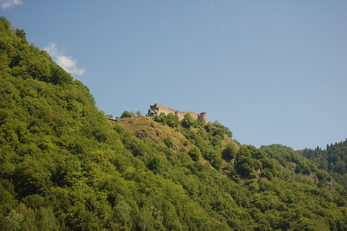 an1_015341.jpg