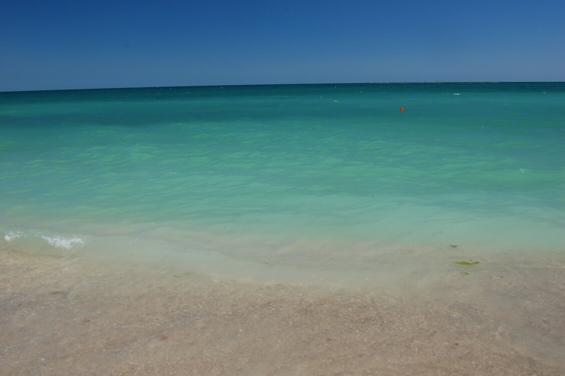 an1_015406.jpg