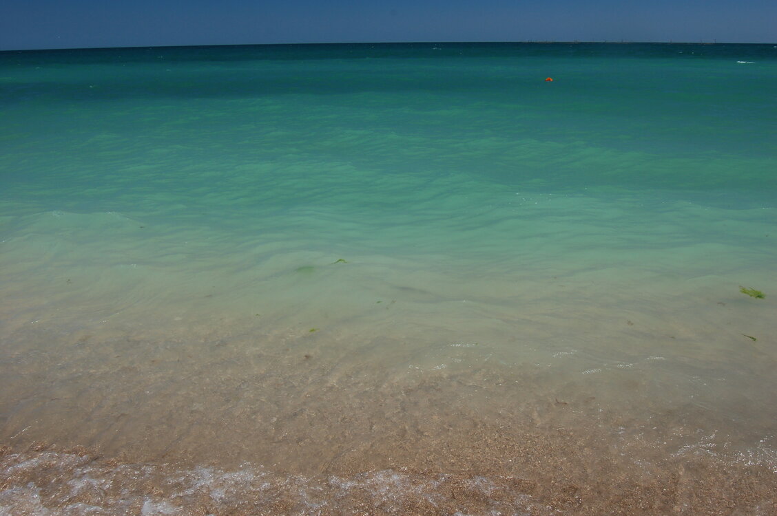 an1_015407.jpg