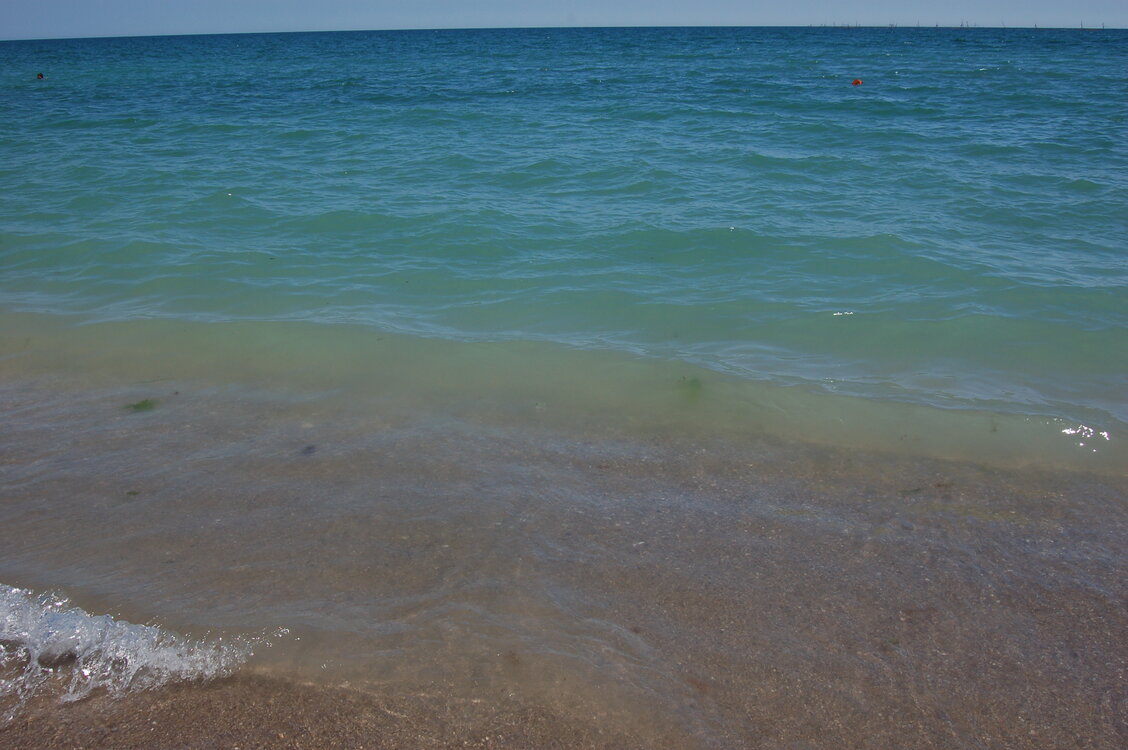 an1_015409.jpg