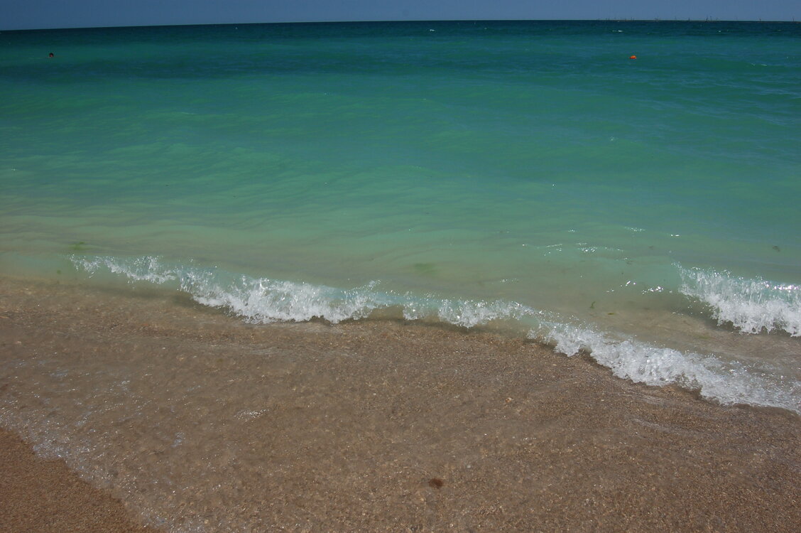 an1_015410.jpg