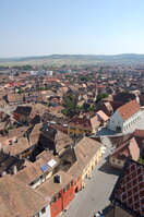 an1_014986.jpg