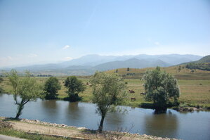 an1_015010.jpg