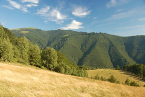 an1_015019.jpg