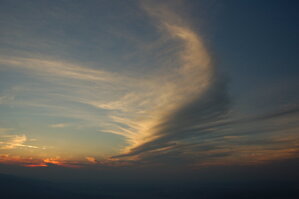 an1_015024.jpg