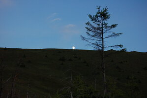 an1_015028.jpg