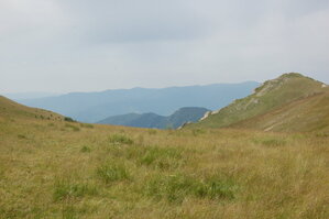 an1_015033.jpg