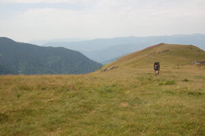 an1_015034.jpg