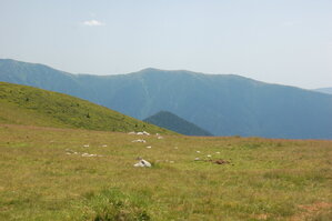 an1_015038.jpg