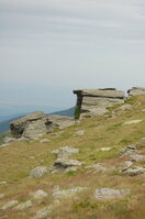 an1_015043.jpg