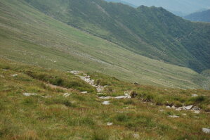 an1_015054.jpg