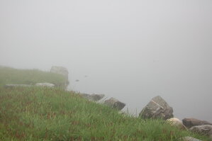an1_015079.jpg