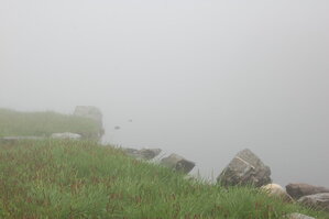 an1_015080.jpg