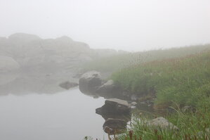 an1_015081.jpg