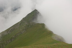 an1_015086.jpg