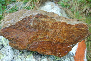 an1_015091.jpg