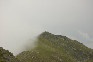 an1_015093.jpg