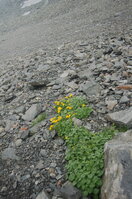 an1_015141.jpg