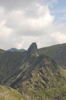 an1_015275.jpg