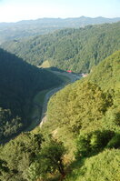 an1_015320.jpg