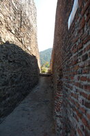 an1_015338.jpg